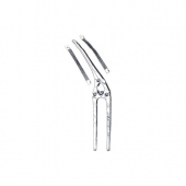 Intestinal Forceps 